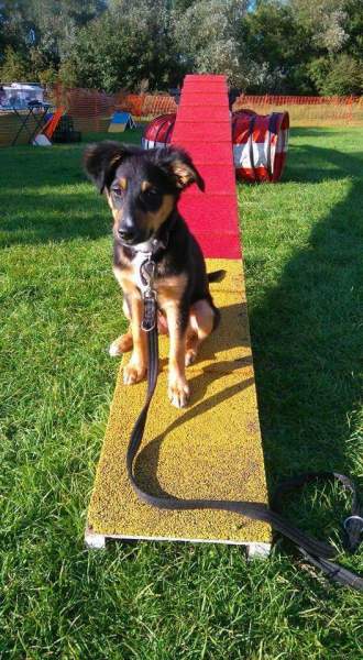 FB_IMG_1524600170960